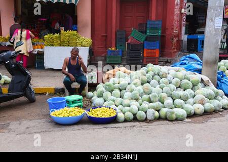 Benincasa Hispida, Peta O Ash Gourd, Mysore Karnataka Foto Stock