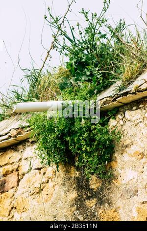 Cipro di Paphos 03 marzo 2020 Vista di una vecchia casa abbandonata che è distrutta sulle strade di Paphos nel pomeriggio Foto Stock