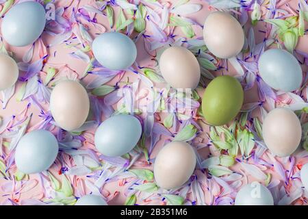 Uova di Pasqua colorate su uno sfondo di petali di fiori, composizione primaverile. Colori giallo-oro blu e bianco, rosa e blu Foto Stock