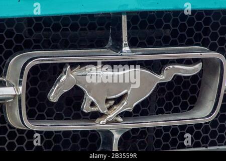 Welfenallee, Berlino, Germania - 16 giugno 2018: Logo cavallo selvatico su una vettura vintage Mustang oldtimer Foto Stock