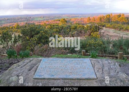 Lapide lapide dedicata a AA Milne e EH Shepard, scrittore e illustratore di Winnie The Pooh Stories, a Gills Lap, Ashdown Forest Foto Stock