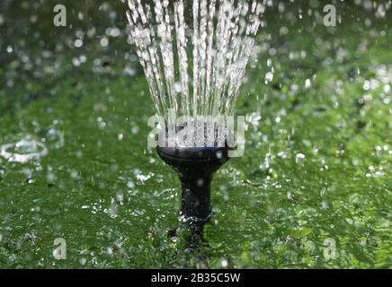 Fontana dell'acqua: Primo piano di una piccola fontana in uno stagno giardino, con gocce caduta che si plashing sulla superficie dell'acqua Foto Stock