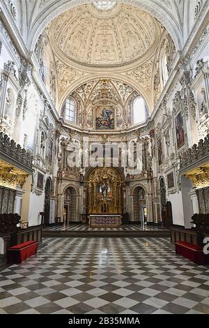 Interno Della Certosa Di Granada Granada Andalusia Spagna Foto Stock