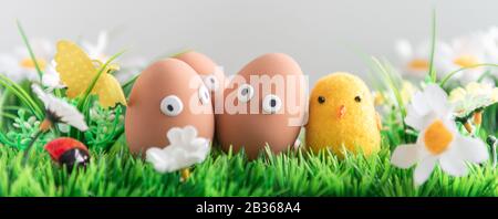 Felice uova di Pasqua tra l'erba di primavera con fiori su uno sfondo grigio isolato, caccia alle uova di Pasqua, cornice, personaggi di uova con volti divertenti, Felice e Foto Stock