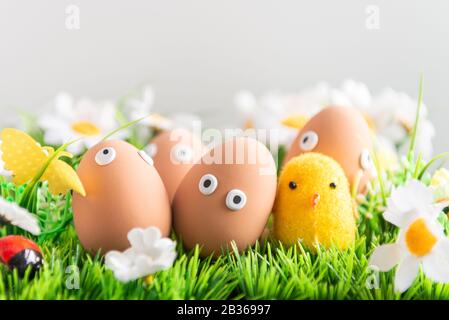 Felice uova di Pasqua tra l'erba di primavera con fiori su uno sfondo grigio isolato, caccia alle uova di Pasqua, cornice, personaggi di uova con volti divertenti, Felice e Foto Stock