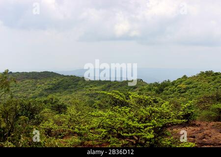 Fitta foresta verde a Connaught Peak o Monte olympia in Mahabaleshwar Maharashtra sahyadri gamme visto in più strati in una giornata di sole davvero un pop Foto Stock