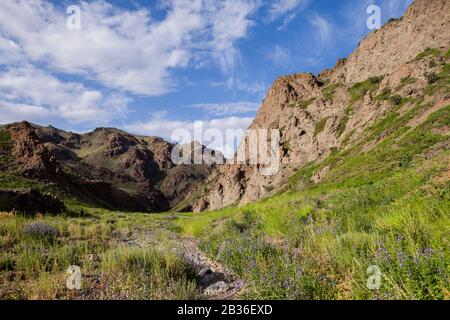 Mongolia, provincia di Omnogovi, Yolyn Am Gorges paesaggio roccioso Foto Stock