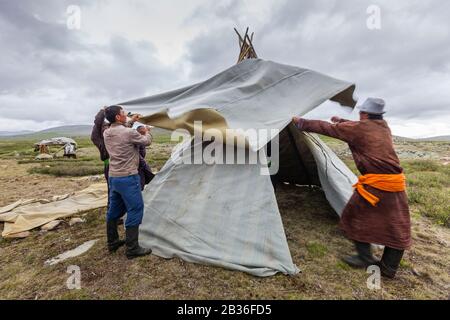 Mongolia, provincia di Khovsgol, vicino a Tsagaannuur, Taiga Occidentale, campo di Tsaatan, costruzione di una tenda tradizionale, altitudine 2203 metri Foto Stock