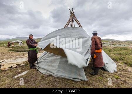 Mongolia, provincia di Khovsgol, vicino a Tsagaannuur, Taiga Occidentale, campo di Tsaatan, costruzione di una tenda tradizionale, altitudine 2203 metri Foto Stock