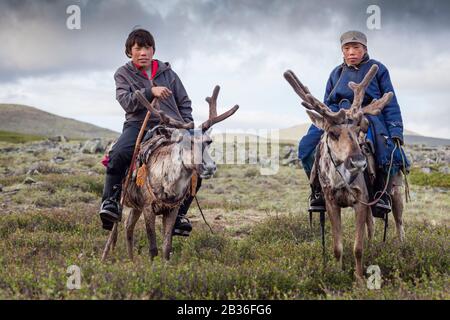 Mongolia, provincia di Khovsgol, vicino a Tsagaannuur, Taiga occidentale, campo di Tsaatan, due ragazzi a cavallo delle loro renne, altitudine 2203 metri Foto Stock