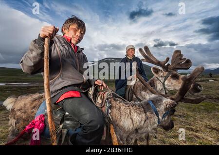 Mongolia, provincia di Khovsgol, vicino a Tsagaannuur, Taiga occidentale, campo di Tsaatan, due ragazzi a cavallo delle loro renne, altitudine 2203 metri Foto Stock