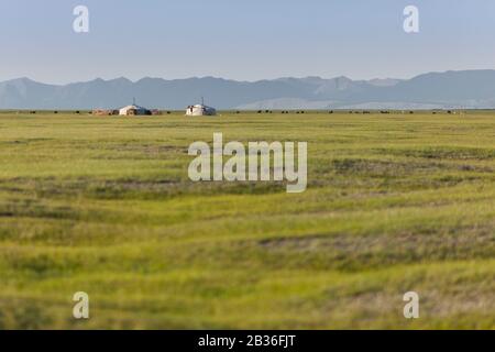 Mongolia, provincia di Khovsgol, vicino a Ulaan Uul, campo di yurt e penne di bestiame in un vasto paesaggio di pascoli e montagne Foto Stock