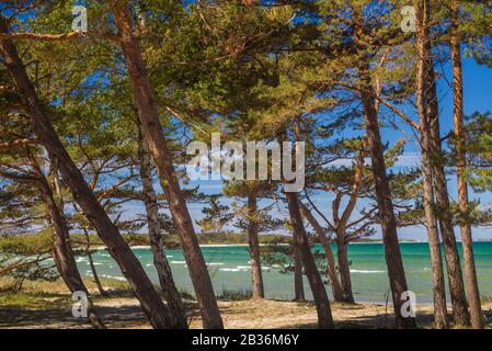 Svezia, Faro Island, Fifang, Vista Sulla Baia Di Ajkesvik Foto Stock