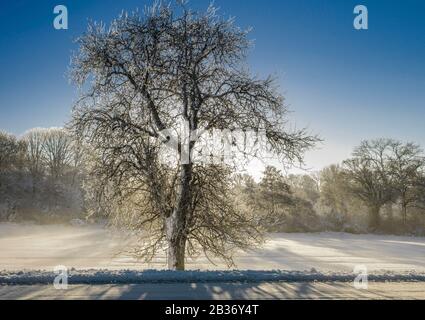 Francia, Parco Naturale Regionale Dell'Alta Valle Di Chevreuse, Paesaggio Invernale Vicino A Les Mesnuls Foto Stock