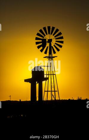 Argentina, provincia di Buenos Aires, estancia San-Isidro del Llano verso Carmen-Casares, gaucho a cavallo cattl Foto Stock