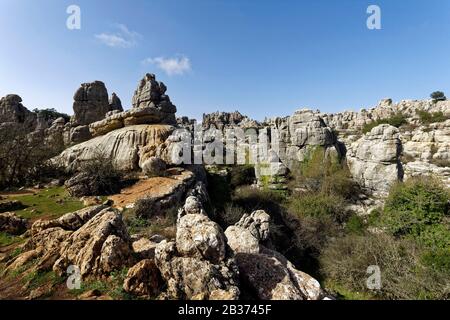 Spagna, Andalusia, Costa del Sol, Provincia di Malaga, Antequera, Riserva naturale di El Torcal, formazione rocciosa dichiarata Patrimonio dell'Umanità dall'UNESCO Foto Stock