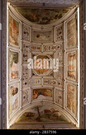 Italia, Veneto, Vicenza, Piazza Matteotti, Museo civico di Palazzo Chiericati costruito nel 1551 da Palladio, Patrimonio Mondiale dell'Umanità dall'UNESCO, Sala di Ercole Foto Stock