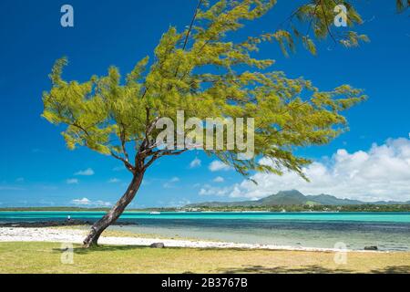 Mauritius, distretto di Flacq, spiaggia di Quatre Cocos Foto Stock