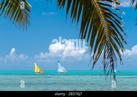 Mauritius, Grand Port District, Mahebourg, regata di piroghe mauriziane Foto Stock