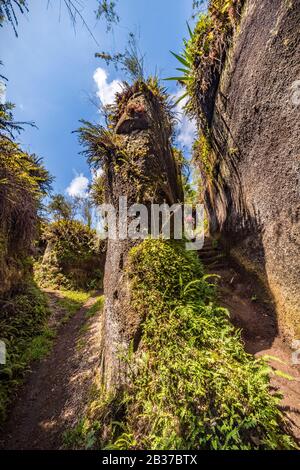 Ecuador, Arcipelago delle Galapagos, classificato come Patrimonio Mondiale dall'UNESCO, Santa Maria Island (Floreana), Tuff Rock, silo de la Paz, Highlands di Floreana Foto Stock