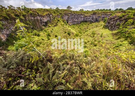 Ecuador, arcipelago delle Galapagos, classificato come Patrimonio dell'Umanità dall'UNESCO, Santa Cruz Island, due crateri (Los Gemelos) Foto Stock