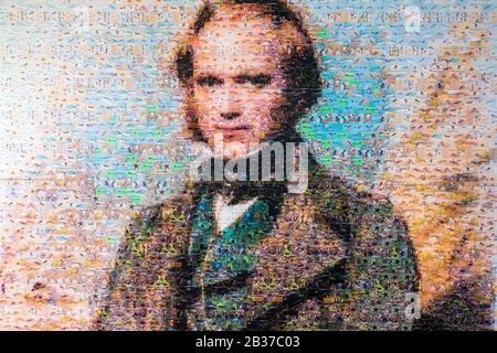 Ecuador, arcipelago delle Galapagos, dichiarato Patrimonio dell'Umanità dall'UNESCO, Isola di Santa Cruz, Centro di Ricerca Charles Darwin, ritratto del famoso naturalista inglese in versione a mosaico fotografico da foto di fauna endemica Foto Stock