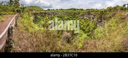 Ecuador, arcipelago delle Galapagos, classificato come Patrimonio dell'Umanità dall'UNESCO, Santa Cruz Island, due crateri (Los Gemelos) Foto Stock