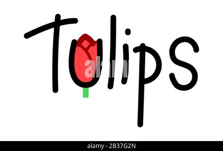 Tulipani. La lettera U sotto forma di un Bud di un tulipano. Testo scritto a mano Immagine vettoriale Isolata su sfondo bianco. Illustrazione Vettoriale