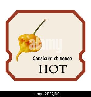 Capsicum chinense frutta, capsicum caldo con gusto bruciante. Pepe giallo caldo tropicale da vicino su sfondo bianco. Illustrazione Vettoriale