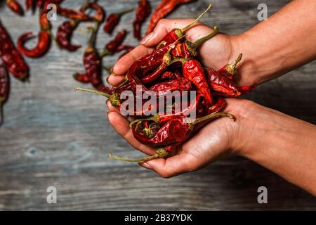 rivesta il peperoncino messicano secco in mano su un tavolo di legno Foto Stock