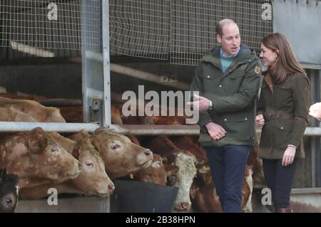 Ritrasmesso CORREGGENDO IL duca e la duchessa di Cambridge durante una visita al Teagasc Animal & Grassland Research Center di Grange, nella contea di Meath, come parte della loro visita di tre giorni nella Repubblica d'Irlanda. Foto Stock