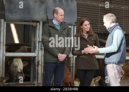 Ritrasmesso CORREGGENDO IL duca e la duchessa di Cambridge durante una visita al Teagasc Animal & Grassland Research Center di Grange, nella contea di Meath, come parte della loro visita di tre giorni nella Repubblica d'Irlanda. Foto Stock