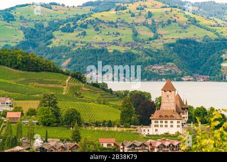 Bellissimo villaggio di Spiez sul lago Thun nelle Alpi svizzere vicino Interlaken Foto Stock