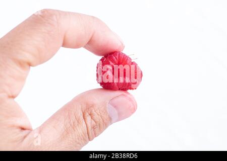 Inusuale strana forma matura fragola rossa in mano, non commercializzata forma di prodotto agricolo, Frutta brutta Sprecata Foto Stock