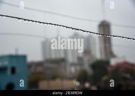Cavo Clothesline pieno di piccole gocce in una giornata di pioggia con un fuoco selettivo su di loro e profondità di campo molto poco profonda con uno sfondo sfocato Foto Stock