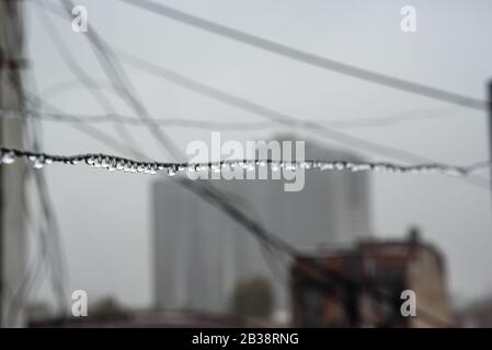 Cavo Clothesline pieno di piccole gocce in una giornata di pioggia con un fuoco selettivo su di loro e profondità di campo molto poco profonda con uno sfondo sfocato Foto Stock