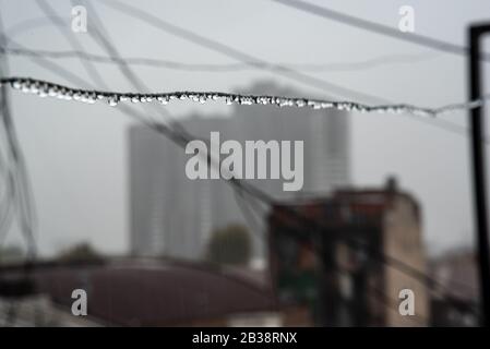 Cavo Clothesline pieno di piccole gocce in una giornata di pioggia con un fuoco selettivo su di loro e profondità di campo molto poco profonda con uno sfondo sfocato Foto Stock