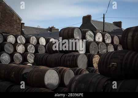 Botti e doghe nel cortile alla cooperage della distilleria di whisky di malto singolo Springbank, a Campbeltown, Scozia. Foto Stock