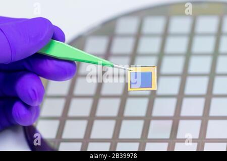 Guanto viola con microchip e paio di pinzette. Sensore matrice . Sensore video fotografico. Foto Stock