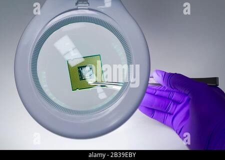 Mano in guanto viola che tiene il microchip con un paio di pinzette sotto la lente d'ingrandimento . Focus su chip. Foto Stock