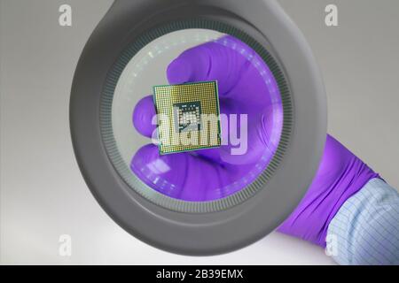 Mano in guanto viola che tiene il microchip sotto la lente amagnificante . Focus su chip. Foto Stock