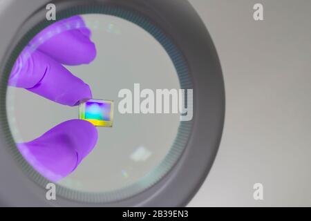 Mano nel guanto viola che tiene il microchip della matrice del sensore sotto la lente d'ingrandimento . Foto Stock