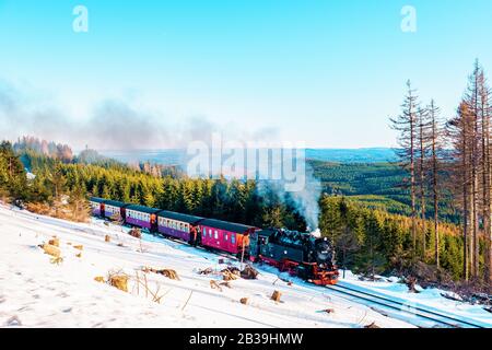 Parco nazionale di Harz Germania, treno a vapore storico in inverno, Drei Annen Hohe, Germania, locomotiva a vapore della Harzer Schmallsprebahnen in Foto Stock