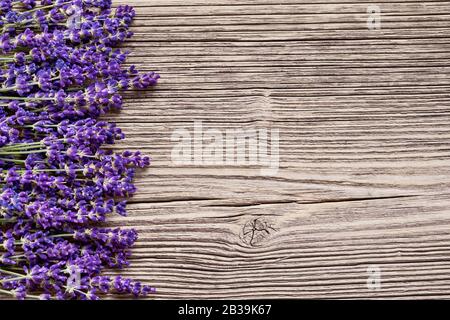 Fiori di lavanda su sfondo di legno. Vista dall'alto, copia spazio per il testo. Foto Stock