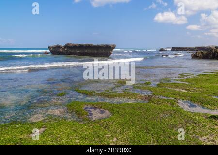 Splendide piscine naturali di roccia alla spiaggia di Echo in una giornata di sole a Canggu, Bali Foto Stock