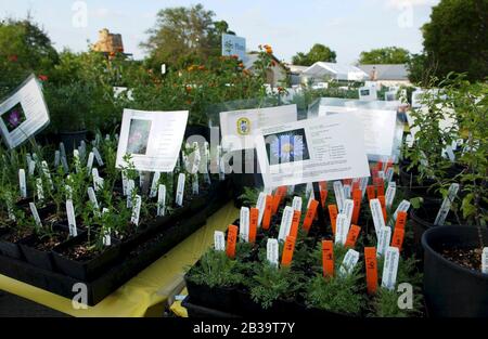 Austin Texas USA, Aprile 2004: Piantine con segni identificativi in mostra al Lady Bird Johnson Wildflower Research Center durante la stagione primaverile dei fiori selvatici a metà aprile. ©Bob Daemmrich Foto Stock