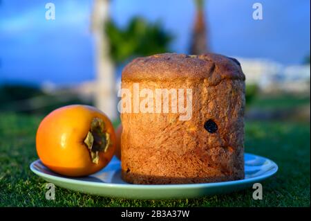 Dolci freschi di forno panettone torta alla frutta con frutti op piastra sulla molla di erba verde Foto Stock