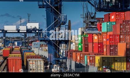 Global Britain - trasporto di container ferroviari UK. Container intermodali caricati su treni merci per il trasporto successivo dal porto container Felixstowe. Foto Stock