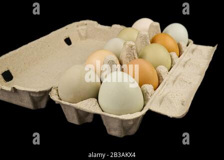 uova d'oca e di pollo in una scatola di cartone. Le uova ecologiche provenienti dall'azienda agricola sono confezionate in vassoio di carta Foto Stock