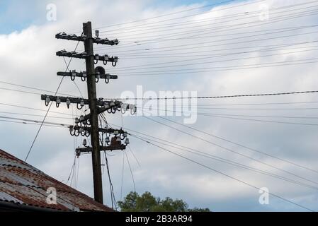 Fascio di cavi elettrici fili su un palo di legno con alcuni nidi di uccelli in una giornata torbida Foto Stock